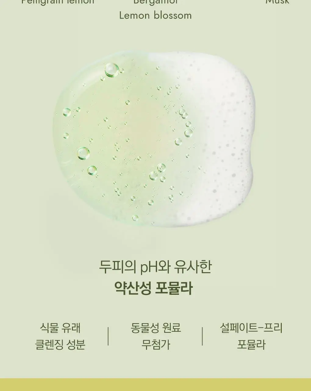 [건조모발 & 지성두피] 클로란 시트러스 스케일링 샴푸 400ml 상세페이지 12